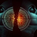 Ontologie der 8 Prinzipien - Teilung