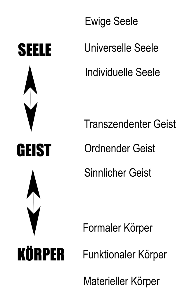 Spielermatrix - SpielTrans